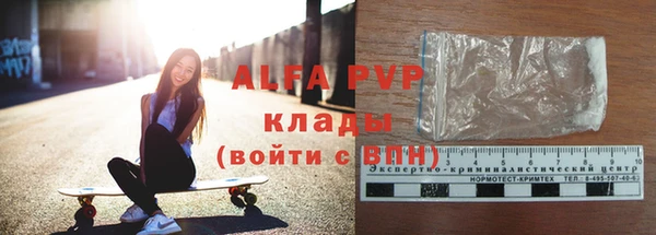 ГАЛЛЮЦИНОГЕННЫЕ ГРИБЫ Белокуриха