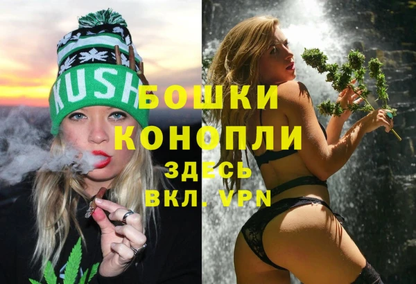 ГАЛЛЮЦИНОГЕННЫЕ ГРИБЫ Белокуриха