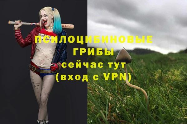 ECSTASY Белоозёрский