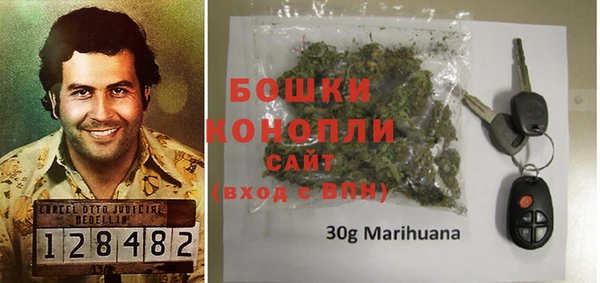 ГАЛЛЮЦИНОГЕННЫЕ ГРИБЫ Белокуриха
